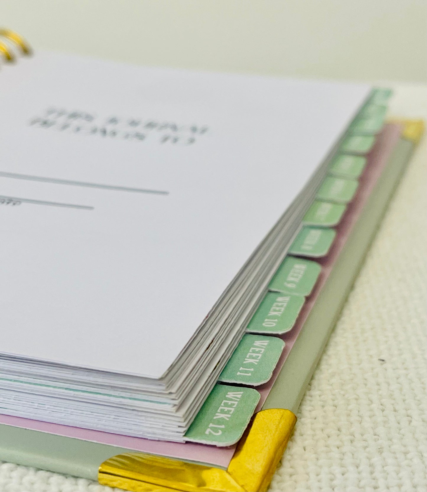 Black Friday Faith Reset: 3-Journal New Bloom Bundle – $120 Value