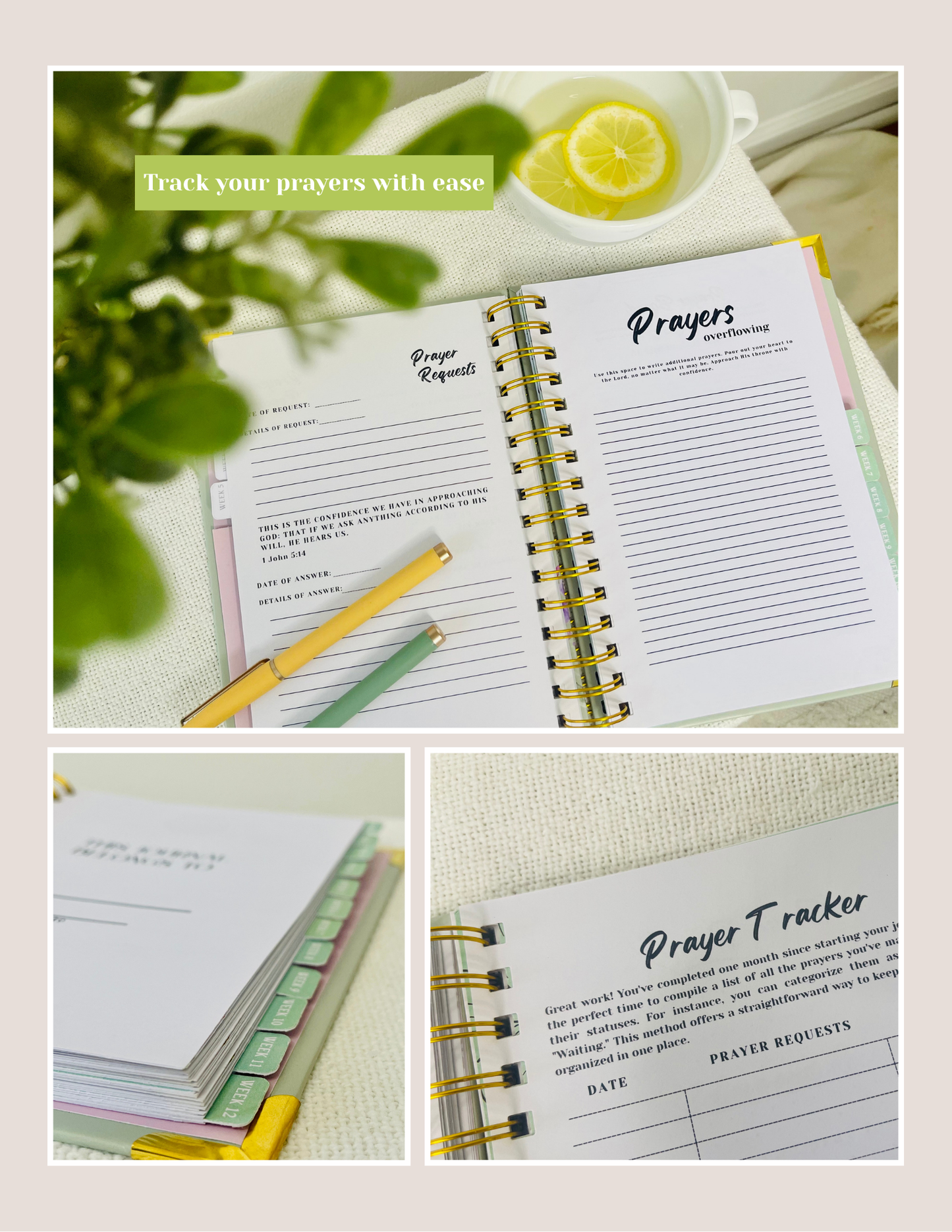 New Bloom Prayer Journal — A Guided 12-Week Journey to Healing, Faith & Prayerful Growth